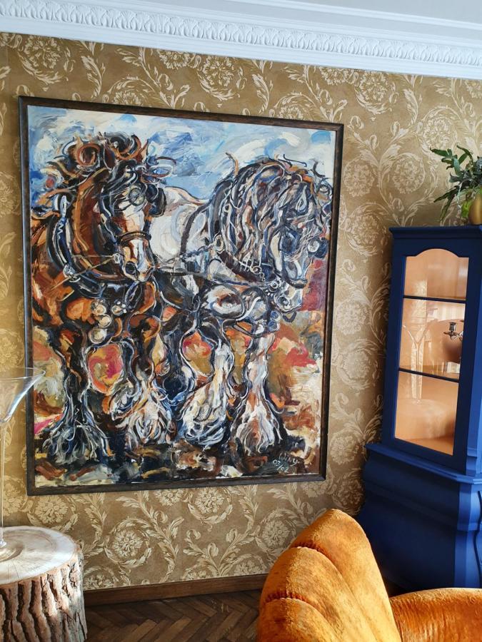 Guesthouse Deladix هاسيلت المظهر الخارجي الصورة